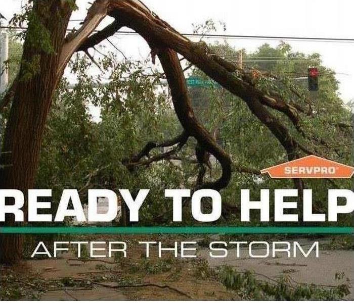 Here are the Steps to Take Immediately After a Storm Damage!